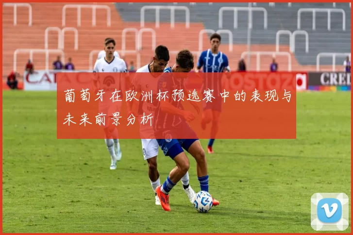 葡萄牙在欧洲杯预选赛中的表现与未来前景分析